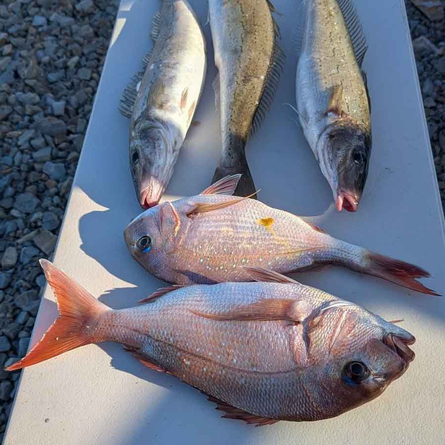 fishing