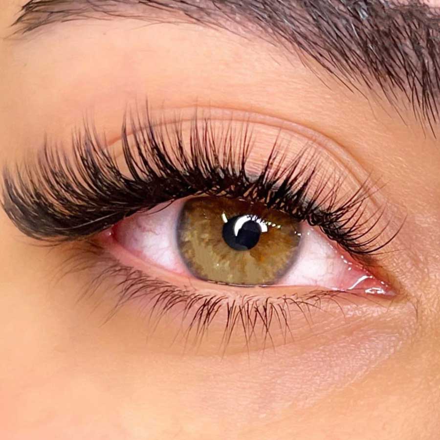 Most Popular Lash Extensions in Melbourne